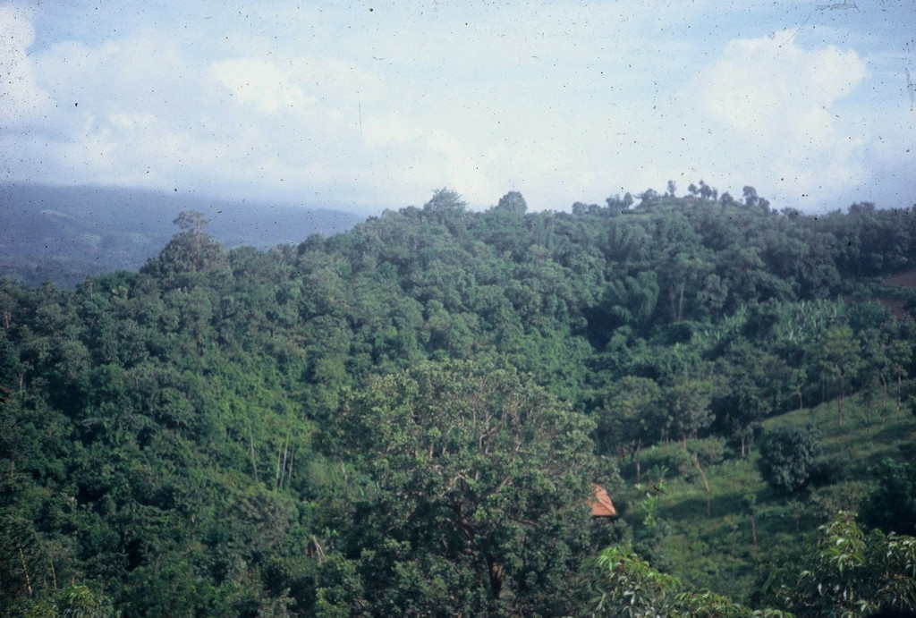 Sarang's watershed in 1995